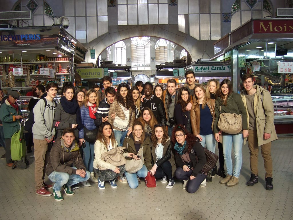 AIP Language Institute