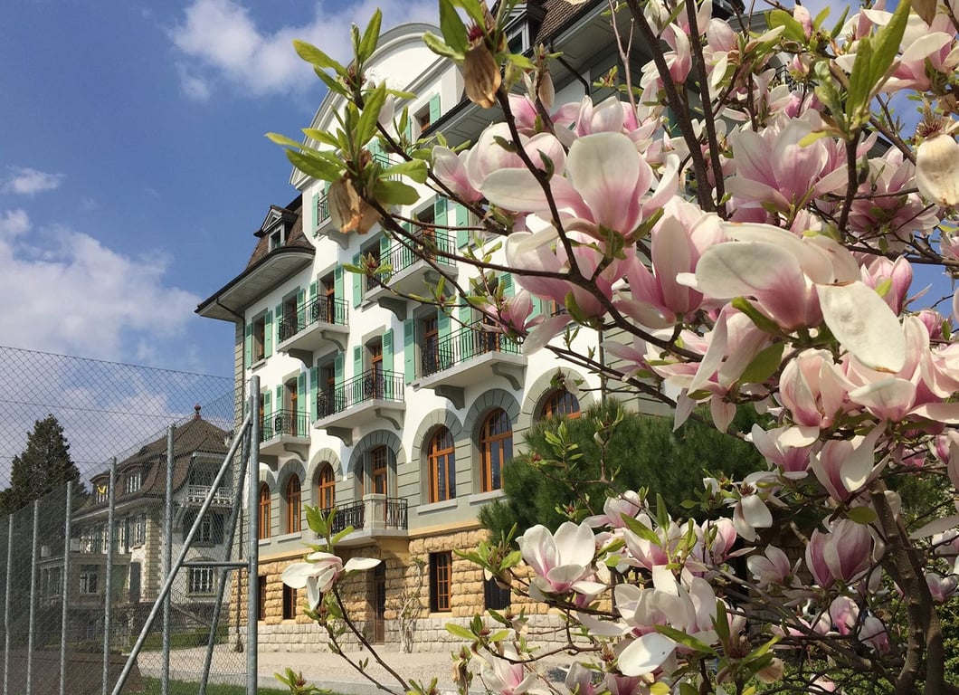 Brillantmont International School