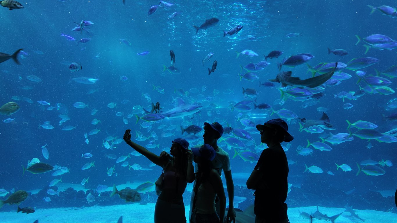 Canaventur, Campus Summer Camp