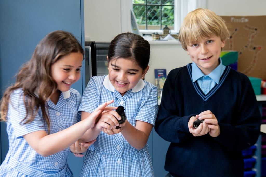 Norland Place School — boarding school campus