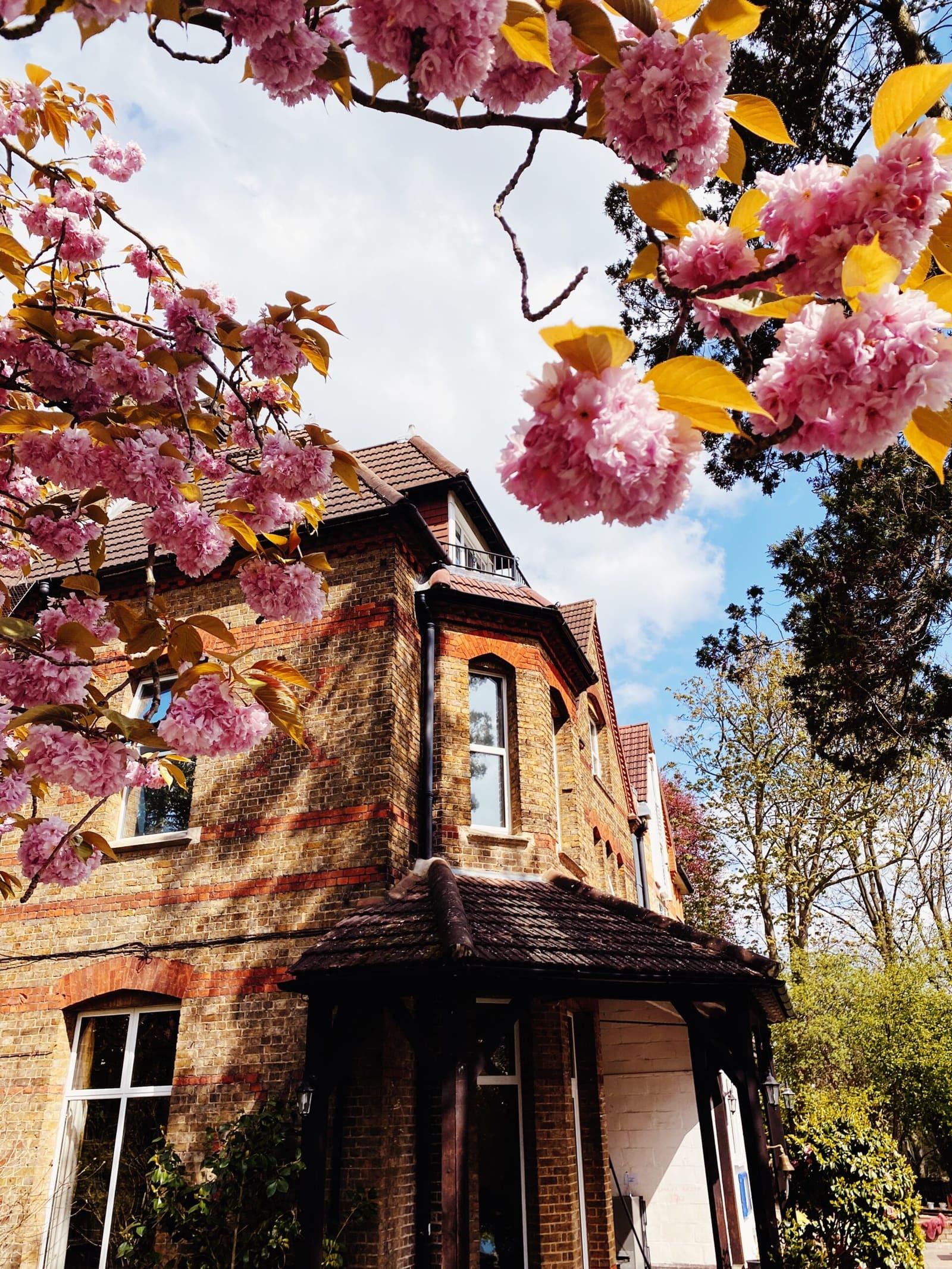 Norwegian School in London — boarding school campus