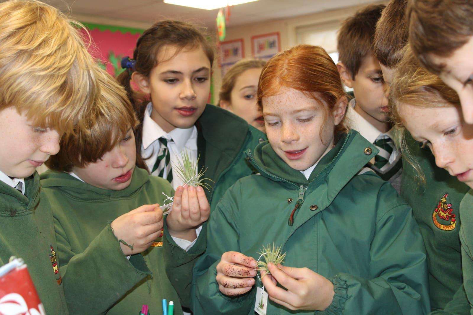 Oakwood School, Chichester — boarding school campus