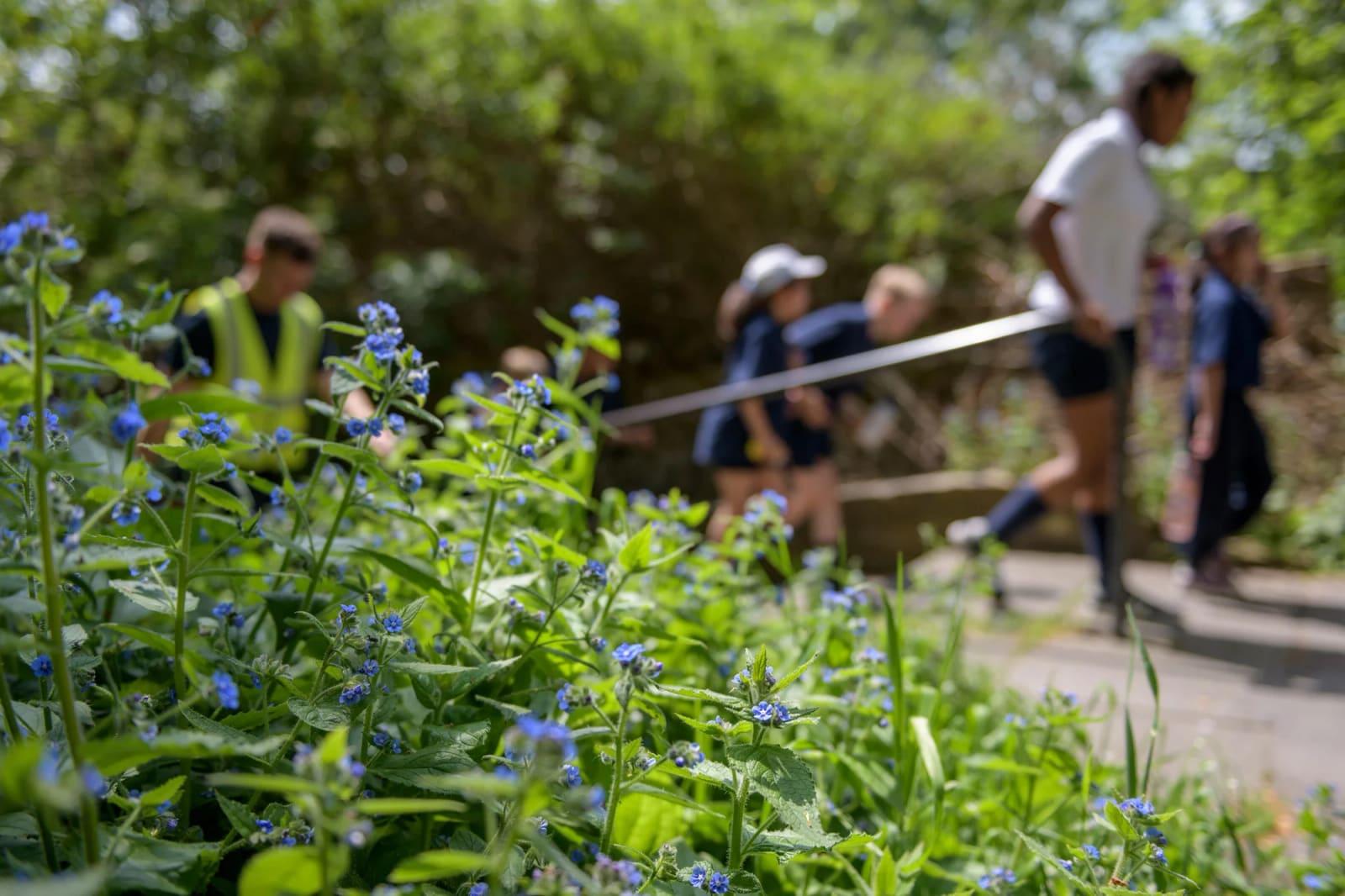 Heath House Preparatory School — boarding school campus